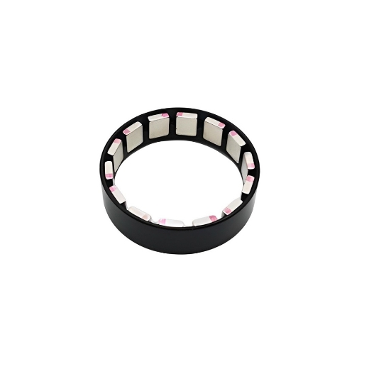 Picture of 9W 12V Frameless BLDC Motor, 950 rpm