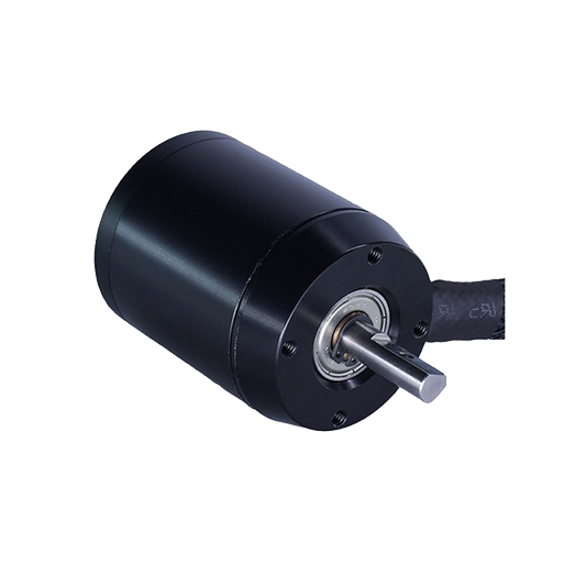 1200W 200KV Outrunner Sensored BLDC Motor