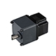 24V/36V/48V 750W BLDC Gear Motor