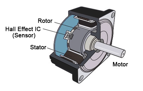 Basic structure of a bldc motor