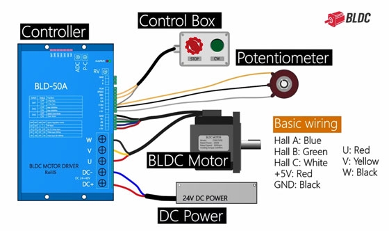 BLDC motor and potentiometer