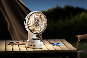 BLDC motors in portable devices