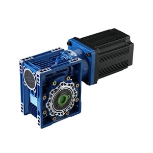 BLDC worm gear motor