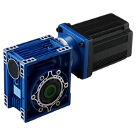 BLDC worm gear motor