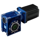 BLDC worm gear motor