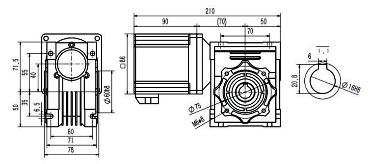 300W bldc worm gear motor dimension