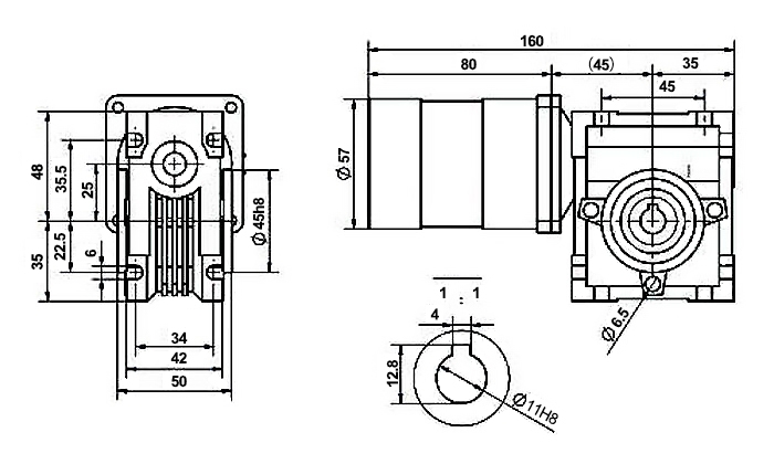 50W bldc worm gear motor dimension
