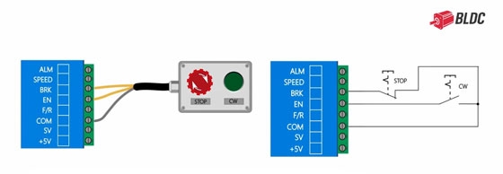 BLDC motor wiring for forward rotation
